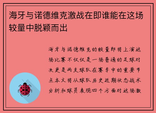 海牙与诺德维克激战在即谁能在这场较量中脱颖而出